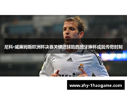 尼科·威廉姆斯欧洲杯决赛关键进球助西班牙捧杯成就传奇时刻